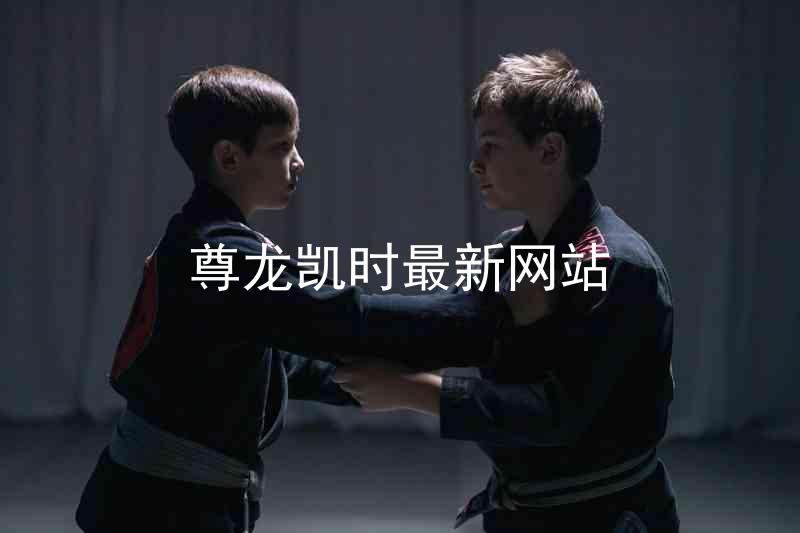 尊龙凯时最新网站